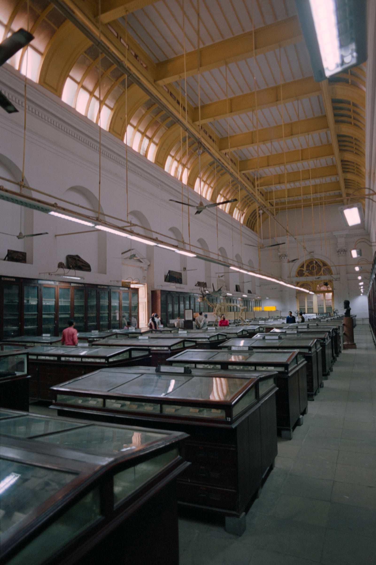 AHP film 2005 01 001 sc240825 img36 NLP